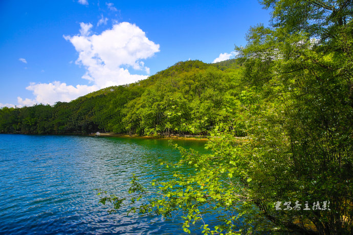 夏天这样玩养在深闺人未识的高原明珠彝海