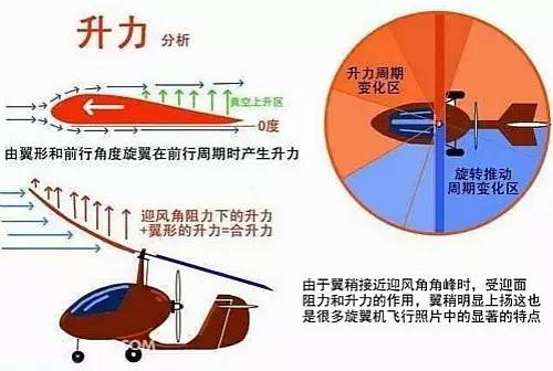 竹蜻蜓的原理是什么_哆啦a梦竹蜻蜓图片(3)