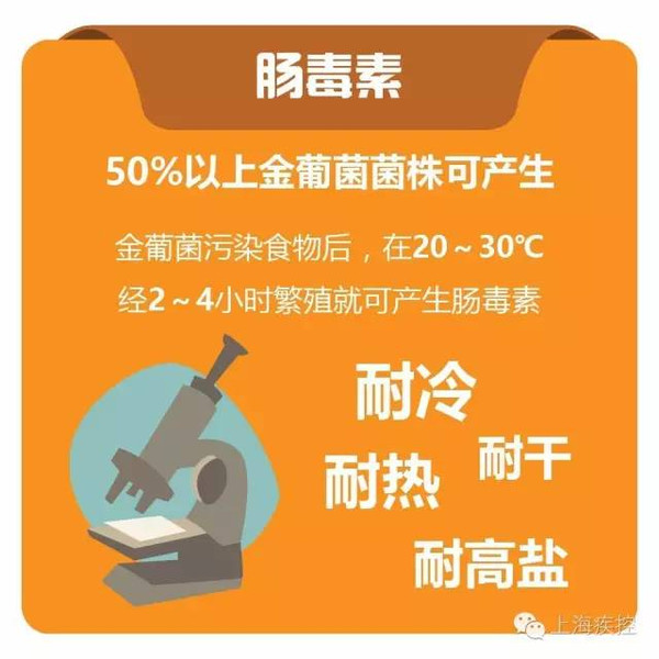 菌界就有这么一位大神——金黄色葡萄球菌,它有一招分泌肠毒素的绝技