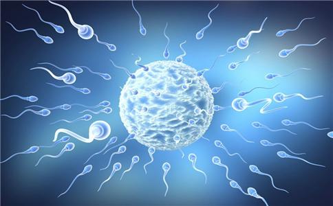 50年间男人精子少一半 想生二胎先体检精子