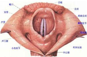 咽喉炎难受怎么办