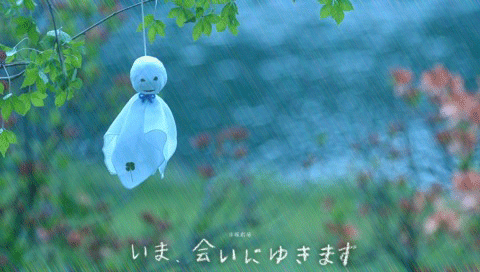 希望雨快点停,希望大家都平安!