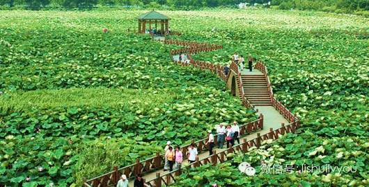 溧水周边颜值超高的古文化景点~赶紧来一场心灵之旅