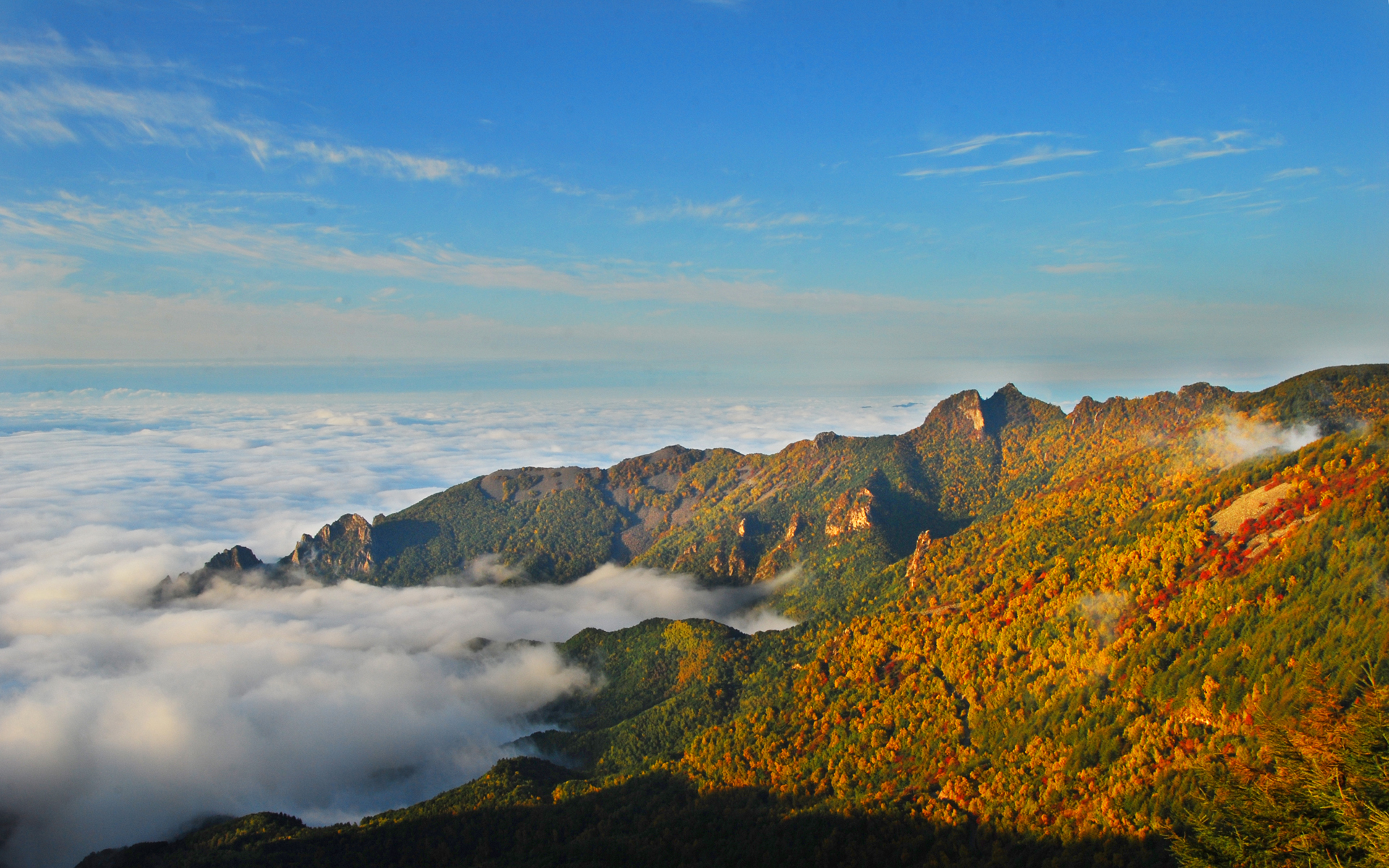 【携程攻略】江苏灵山胜境景点,灵山是个风景秀美的地方，沿途经过十里明珠堤，公路在青山中穿行。灵…