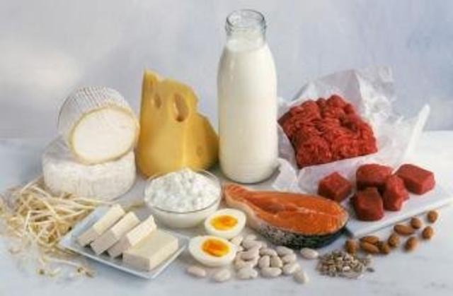 蛋白质含量高的食物有哪些