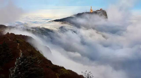 天气这么热,我们说点峨眉山的冷知识