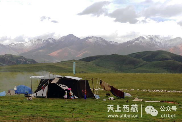 西藏最大的帐篷,竟用了4300公斤牦牛毛制作