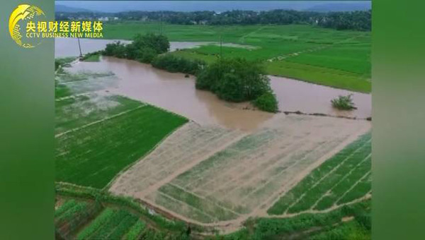 四川和湖北哪个人口更多_湖北地图