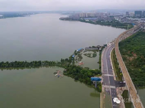 新洲有多少人口_航拍暴雨溃口后的新洲 告诉你另一个惊人现场