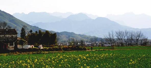 安徽湘潭村隶属于黄山市黄山区三口镇.