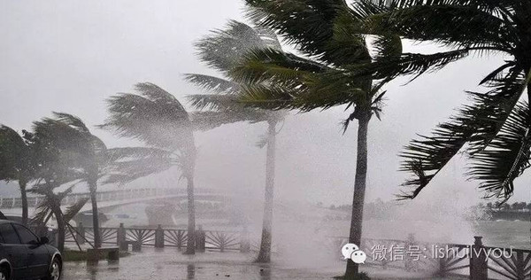 @各旅游企业:关于防汛防台风的工作提醒