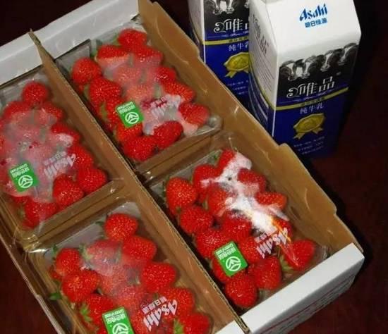 在北京,上海的超市里,朝日绿源生产的品牌草莓"美莓",1公斤售价可以
