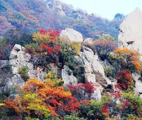 石家庄最美山地风光之赞皇棋盘山:生态森林消夏避暑胜地