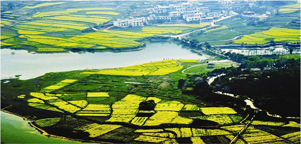 湾里2宗地卖4.08亿 上海建工溢价102%拿107亩