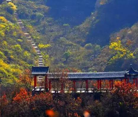 石家庄最美山地风光之赞皇棋盘山:生态森林消夏避暑胜地