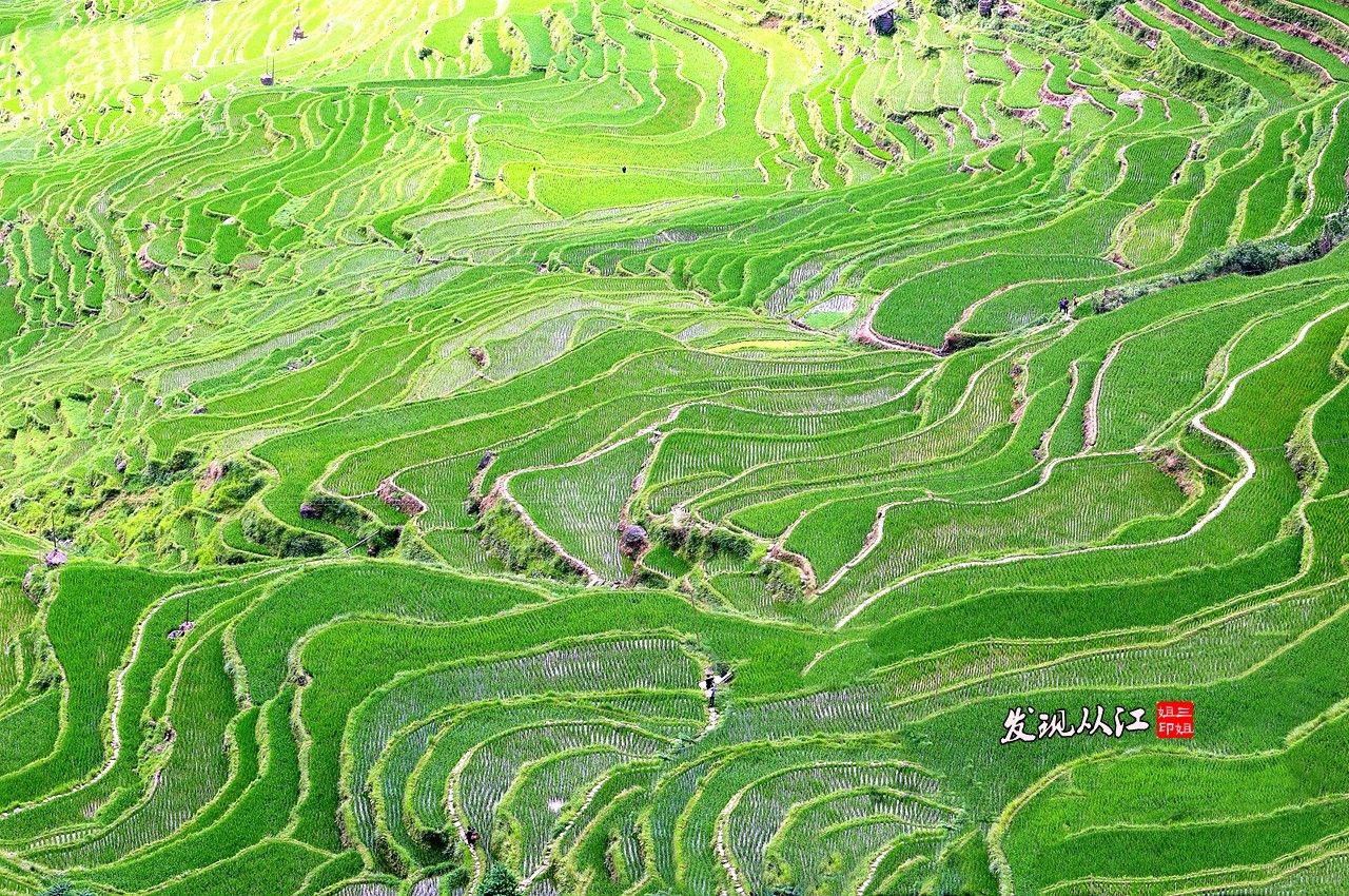 加榜梯田用生命的线条临摹大地的轮廓