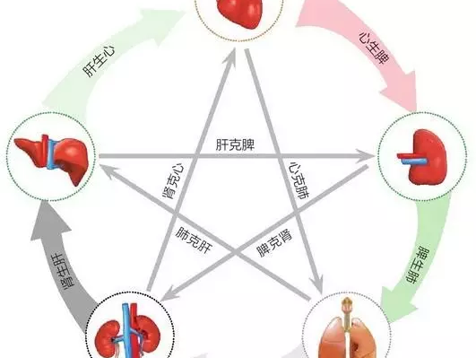 五行,五脏对应关系