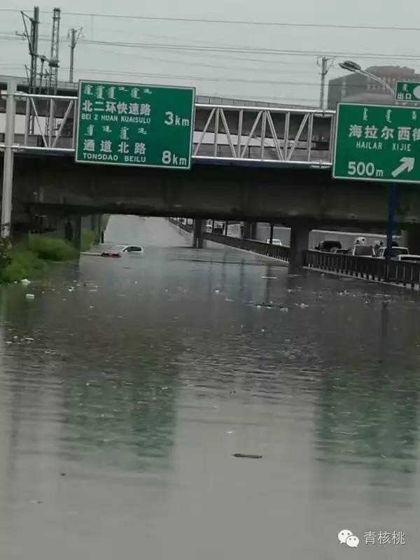 【紧急扩散】在呼市有一种下雨叫做看海