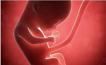 孕7周竟能知胎儿性别,二胎妈咪还有必要等B超