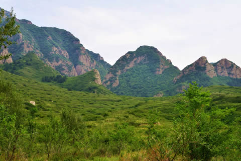 全境地处宣化盆地,可分为河川平原,浅山丘陵和深山区三类,平均海拔900