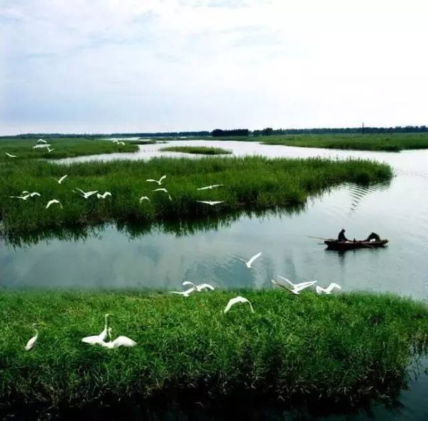 4.千鸟湖湿地公园