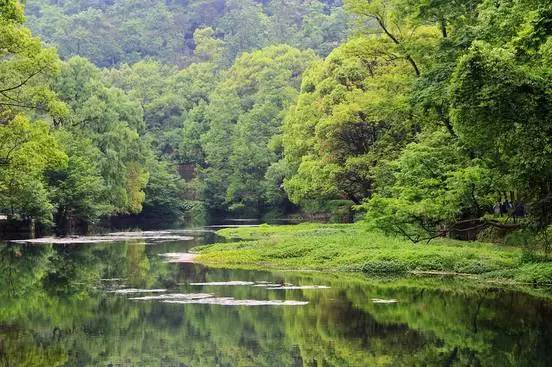 在湿地公园里,除了我们的紫色花海,公园还打造了落英飞雪,碧溪云霞