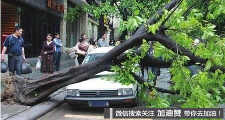 暴雨绵绵，车子停在哪里比较安全？