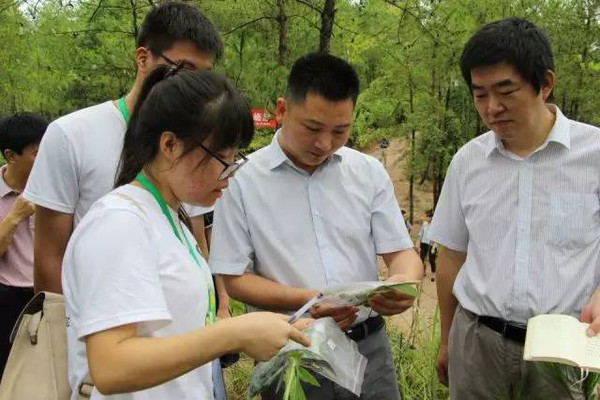 团省委副书记伍复康和南大学生一起社会实践啦!