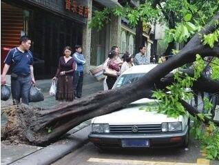 暴雨绵绵，车子停在哪里比较安全？