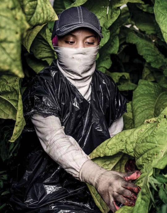 东南亚贩卖人口在哪些地方_贩卖人口