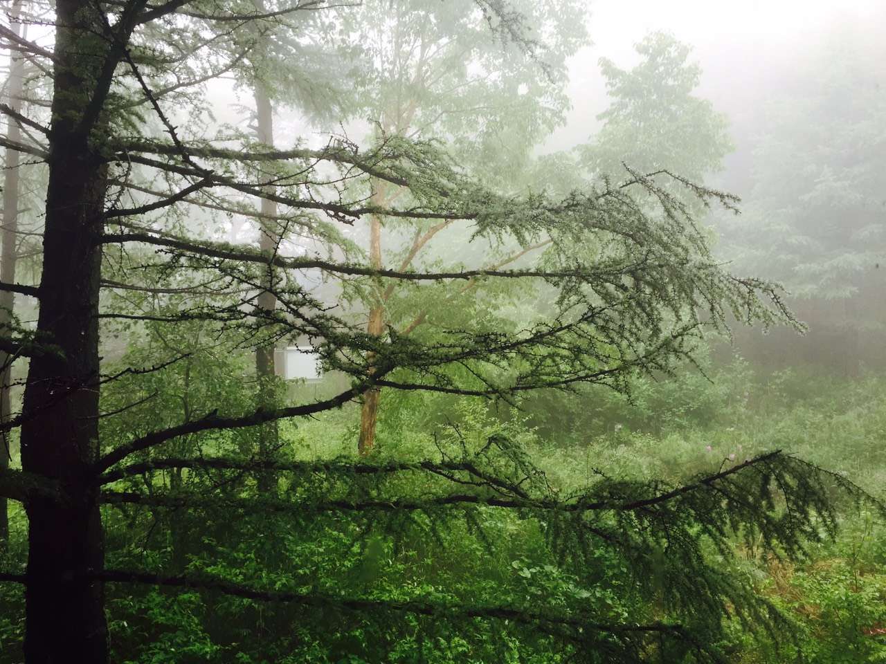 雾灵山,雷雨过后是美景