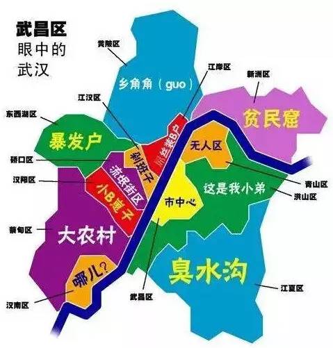 武汉市人口构成_...材料二 武汉市迁入人口的来源地构成图及武汉市迁入人口就