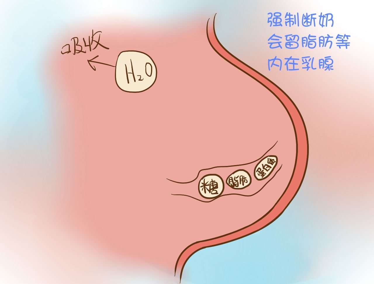 乳房还能挤出这样的残奶,都是这样断奶造成的