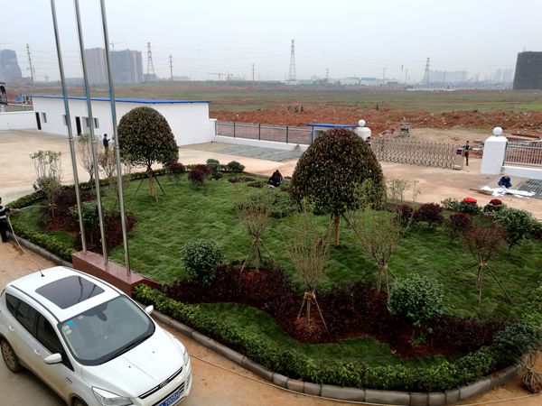 长沙中建三局项目部庭院绿化