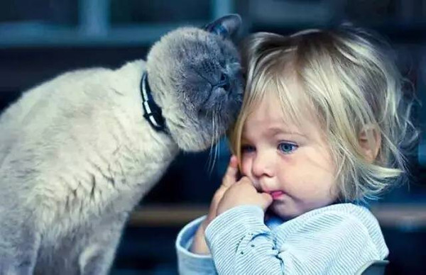 让宠物陪伴孩子成长是一番什么样的体验?萌哭