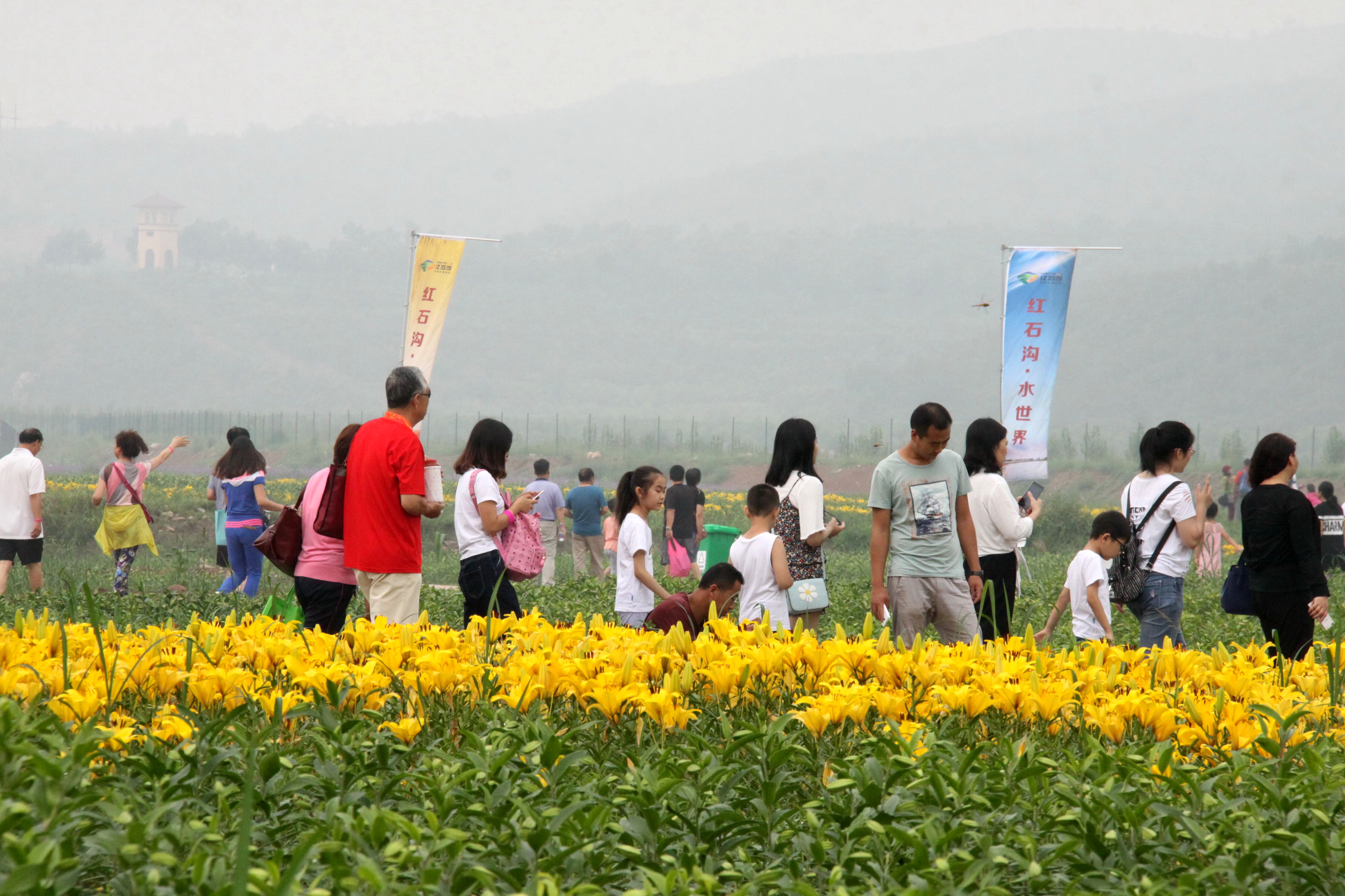 2016年 月 日,2016河北邢台乡村旅游暨首届红石沟百花节在沙河市