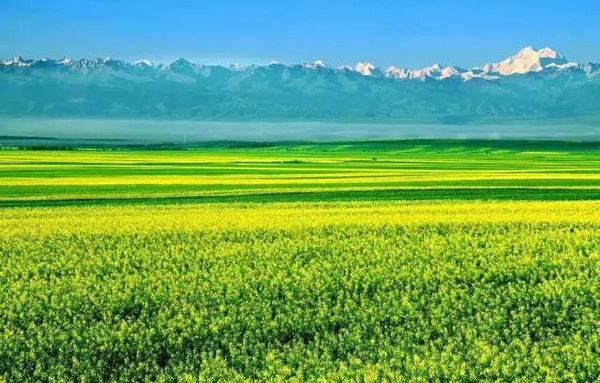 去瑞士太远,那就来新疆伊犁看看媲美瑞士的雪