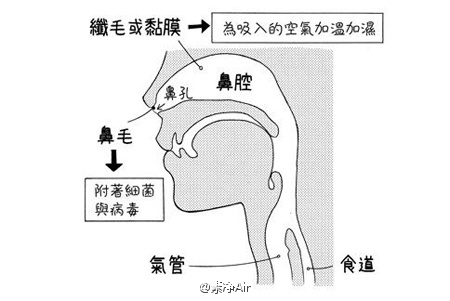 当机体受凉时,我腔隙中的黏膜首先扩张,继而出现缺氧,并能向大脑发出