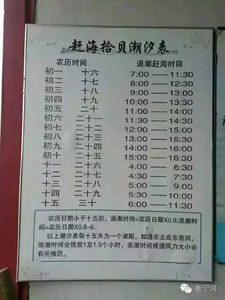 宁河人在周边海边赶海拾贝,一定要注意这张潮汐表才有好收成!