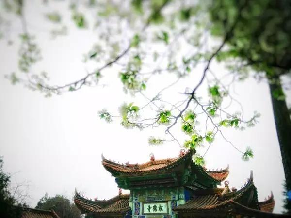 宣威胜景松鹤寺