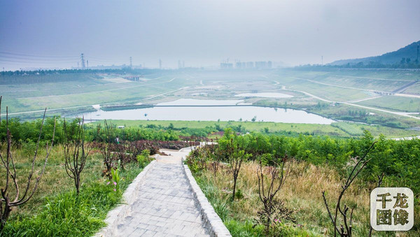 前几日"西蓄"的重要组成部分西郊砂石坑蓄洪工程建设已经基本完成.