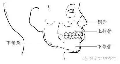 【口腔微学院】靠拔智齿来瘦脸?不靠谱!