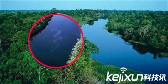 世界上最大巨型蟒蛇 现身亚马逊河震惊世界!