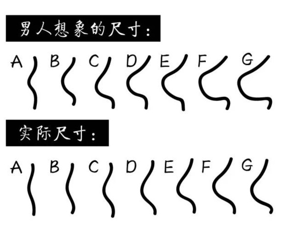 内衣销量排行_淘宝女内衣销量排行榜(3)