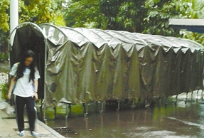 最强降雨要来辽宁!你可能需要这些避雨神器