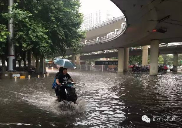 整个河南都在下雨!今年最强暴雨已抵达河南,快告诉身边的家人朋友!