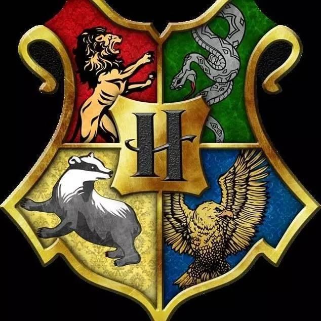 这是一所相对霍格沃茨(hogwarts)的美国版魔法学院,由爱尔兰女巫和