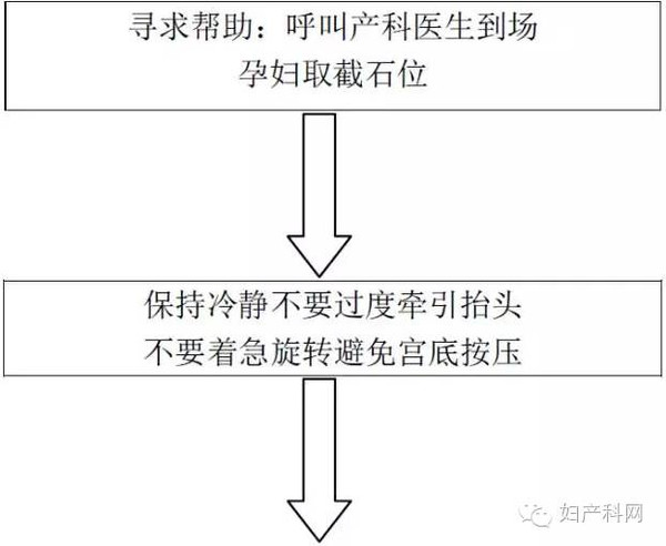 2016年法国妇产科协会肩难产临床指南解读