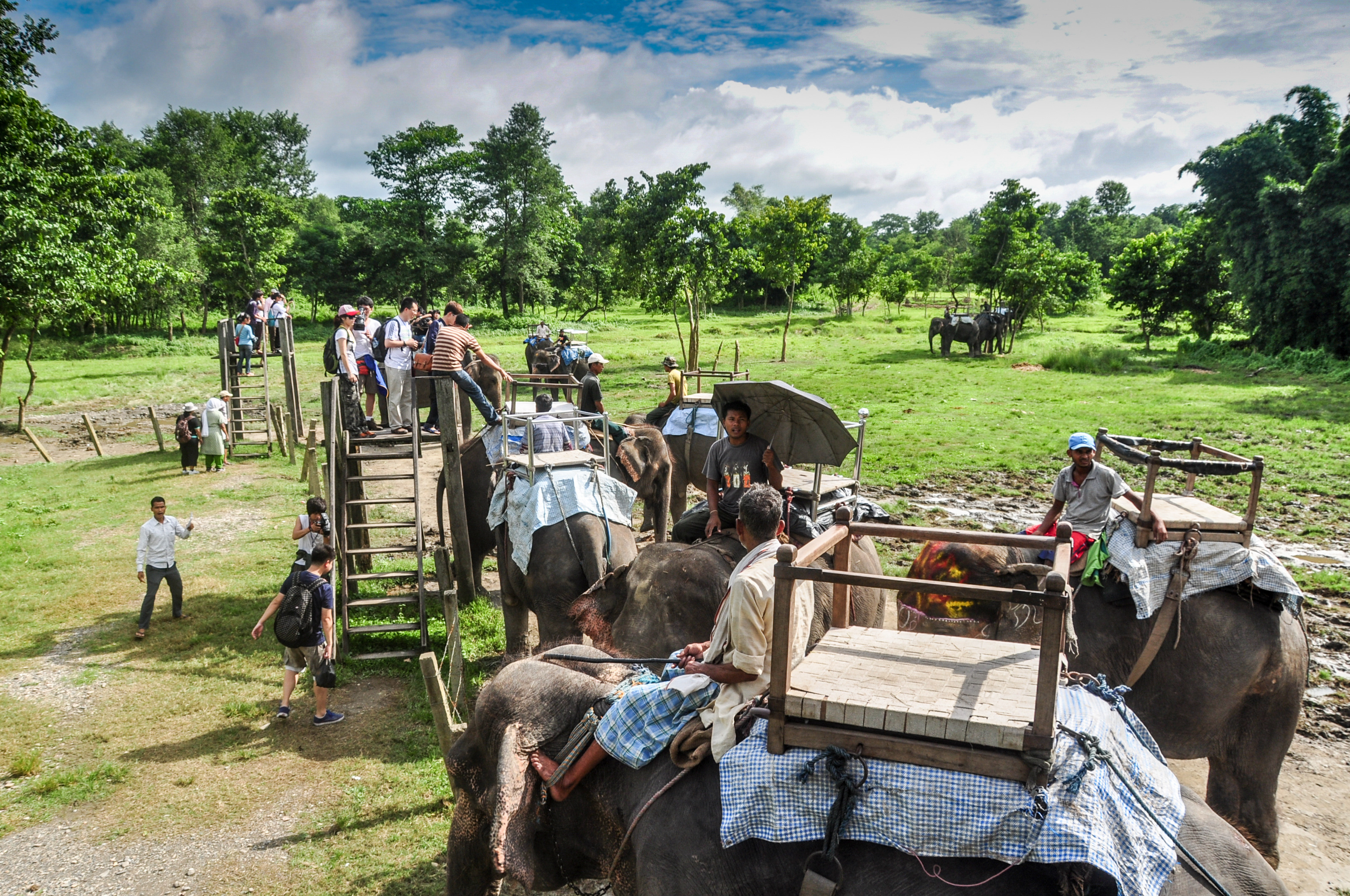 奇旺(chitwan)丛林探险记