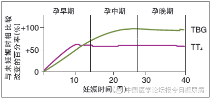 妊娠期间可通过应用系数1.5来调整tt4的参考范围.